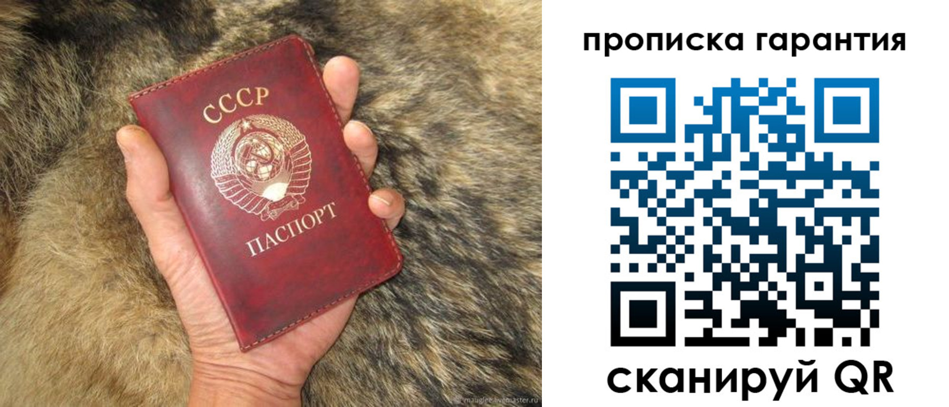 прописка паспорт в Приморском крае